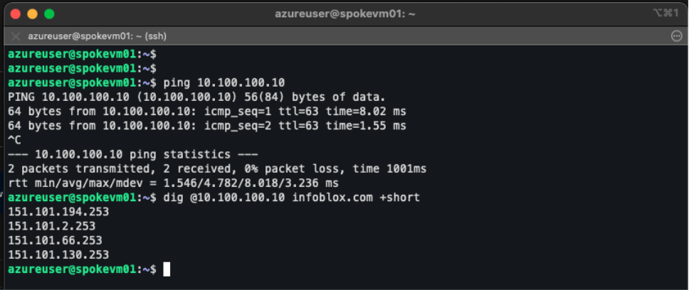 Figure 15. VM in Germany West Central spoke VNet, showing successful ping to anycast IP 10.100.100.10 and DNS resolution via anycast