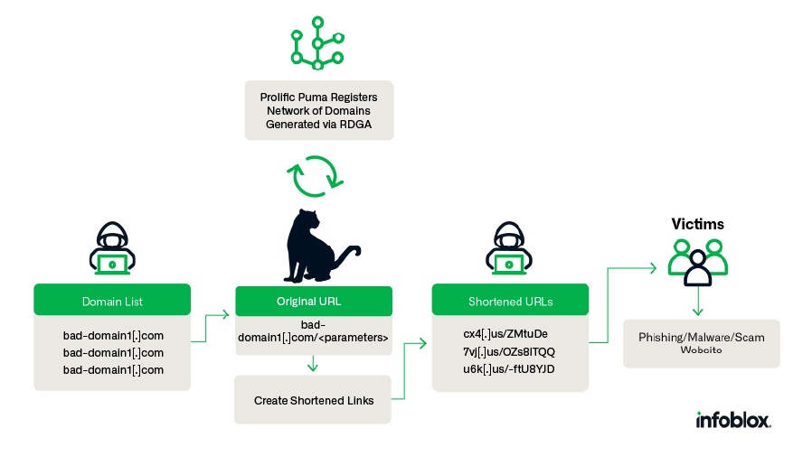 Investigating Infrastructure Links with Passive DNS and Whois Data