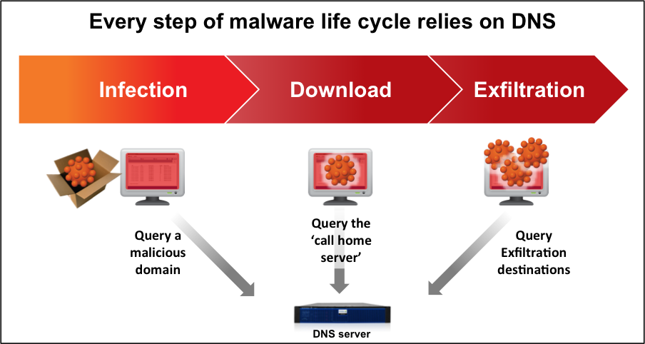 Every step of malware life cycle relies on DNS